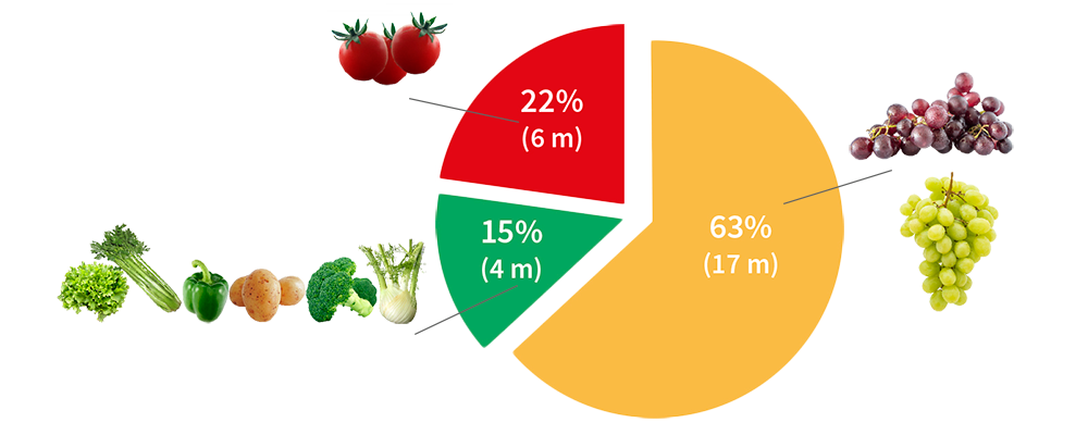 grafico torta sop completa