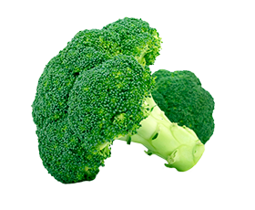 Broccoli